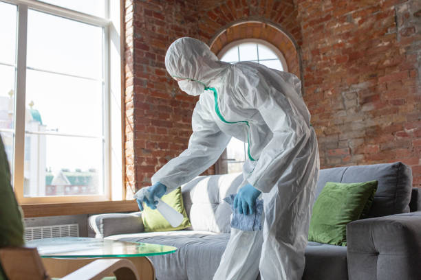 Professional Mold Removal & Remediation in Lancaster, KY